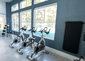 Thumbnail 30 of 44 - a gym with a row of exercise bikes in front of a window at The Bryant Apartments at Yorba Linda, Yorba Linda