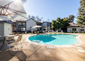 Thumbnail 6 of 40 - our apartments have a large pool with chairs and tables  at Danville Park, Danville, California