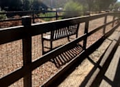 Thumbnail 31 of 40 - Dog Park at Danville Park, California