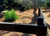Thumbnail 21 of 40 - a fenced in area with trees and plants    and a fence  at Danville Park, Danville, CA