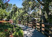 Thumbnail 7 of 40 - a walkway through a park with trees and a fence  at Danville Park, Danville, CA