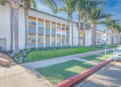 Thumbnail 3 of 31 - the front of a building with palm trees in front of it at The Flats on Addison, California