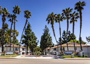Thumbnail 25 of 27 - a street with houses and palm trees at La Jolla Blue, San Diego, 92122