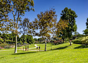 Thumbnail 21 of 27 - a park with trees and a path in the grass at La Jolla Blue, San Diego