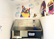 Thumbnail 14 of 27 - a large painting of a dog on the wall above a hot dog at La Jolla Blue, San Diego California