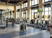 Thumbnail 2 of 78 - A gym with a variety of equipment including treadmills, weights, and exercise machines.
