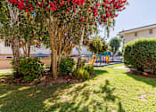 Thumbnail 11 of 11 - A tree with red flowers is in the foreground of a sunny park.