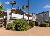 Thumbnail 6 of 8 - A house with a palm tree in front.
