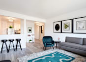 Thumbnail 1 of 9 - A living room with a grey couch, a blue chair, and a white rug.