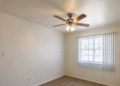 Thumbnail 10 of 19 - A room with a ceiling fan and carpeted floor.