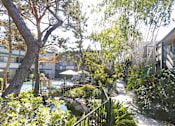Thumbnail 10 of 11 - A view of a courtyard with a pool and trees.
