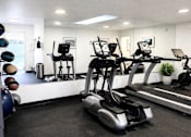 Thumbnail 12 of 14 - A gym with a treadmill, exercise bike, and weights.