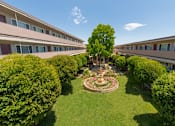 Thumbnail 7 of 13 - A tree in a courtyard surrounded by bushes and a fountain.