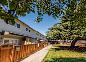Thumbnail 11 of 11 - A tree in a grassy area in front of apartment buildings.