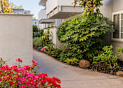 Thumbnail 1 of 8 - A residential area with a pathway and flowering plants.