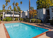 Thumbnail 4 of 8 - A swimming pool surrounded by palm trees and apartment buildings.