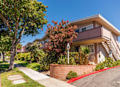 Thumbnail 6 of 9 - a house with a sidewalk and a tree in front of it
