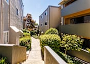 Thumbnail 6 of 7 - A pathway with a wall on one side and a hedge on the other, with buildings in the background.