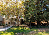 Thumbnail 5 of 9 - A tree with green leaves is in front of a building.
