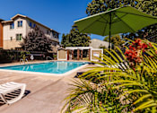 Thumbnail 9 of 9 - A pool surrounded by a green umbrella and plants.
