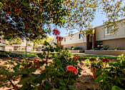 Thumbnail 6 of 9 - A garden with red flowers in front of a building.
