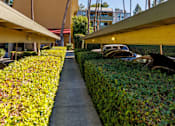 Thumbnail 3 of 4 - A row of palm trees in front of a building.