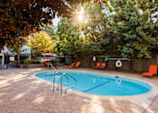Thumbnail 6 of 8 - A sunny day at the pool with trees surrounding the area.