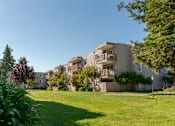 Thumbnail 2 of 8 - A grassy area in front of apartment buildings.