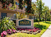 Thumbnail 1 of 9 - a sign in front of an amador apartments building with flowers