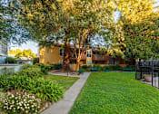 Thumbnail 8 of 8 - A tree with white flowers is in the foreground of a residential area.