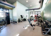 Thumbnail 36 of 47 - a gym with cardio equipment and weights on the floor