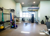 Thumbnail 33 of 47 - a gym with a lot of exercise equipment and a window