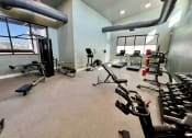 Thumbnail 37 of 47 - a gym with cardio machines and weights on the floor and windows