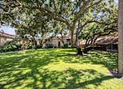 Thumbnail 5 of 7 - A tree in a yard with houses in the background.