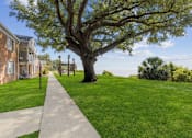 Thumbnail 18 of 19 - a sidewalk in front of a tree and a building