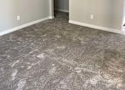 Thumbnail 50 of 59 - an empty living room with carpet and a door to a closet