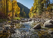 Thumbnail 9 of 28 - A river flows through a forest with rocks in the foreground.