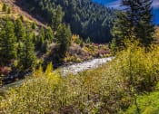 Thumbnail 20 of 28 - a river flowing through a forest in the mountains