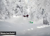 Thumbnail 13 of 17 - a man riding skis in the snow
