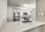 Thumbnail 24 of 30 - Countertop Kitchen at Infinity on the Mark, Dallas, Texas