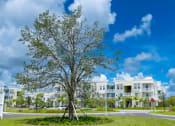 Thumbnail 35 of 39 - Solimar Exterior