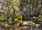 Thumbnail 30 of 42 - A pond with rocks in the middle surrounded by trees at The Aspens South Coast, California, 92504