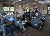 Thumbnail 13 of 19 - two women working out on exercise machines in a gym