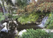 Thumbnail 17 of 19 - a stream in a garden with a waterfall