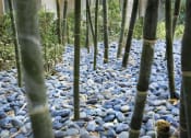 Thumbnail 14 of 17 - Rocks Path at The Aspens Riverside, Riverside, 92504