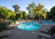 Thumbnail 20 of 30 - a large swimming pool with chairs and palm trees