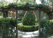 Thumbnail 24 of 30 - a christmas tree in a garden under a pergola