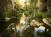 Thumbnail 29 of 30 - a koi pond in the courtyard of an apartment building