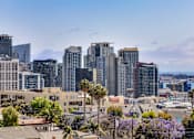 Thumbnail 35 of 35 - the city with tall buildings and palm trees