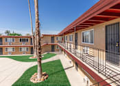 Thumbnail 11 of 20 - A palm tree stands in a courtyard between two apartment buildings.